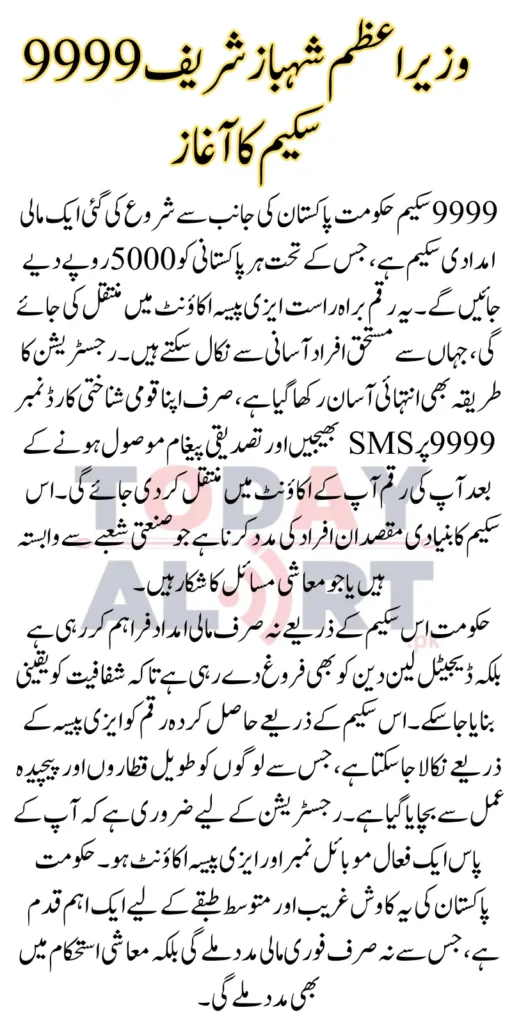 Punjab 9999 Web Portal