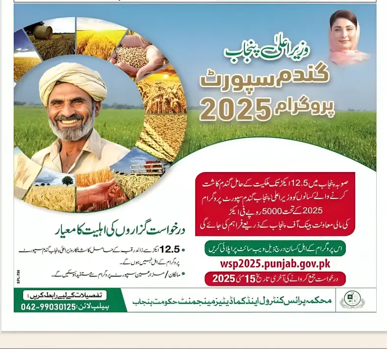 CM Punjab Wheat Support Program 2025 For Farmers 5000PKR Per Acre Assistance