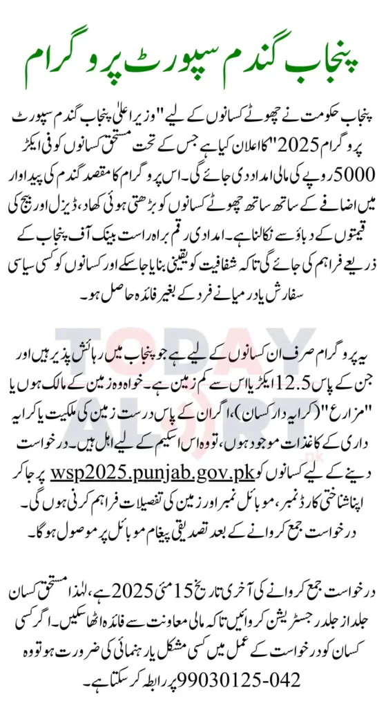 CM Punjab Wheat Support Program 2025 For Farmers 5000PKR Per Acre Assistance