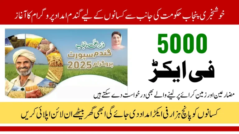 CM Punjab Wheat Support Program 2025 For Farmers 5000PKR Per Acre Assistance