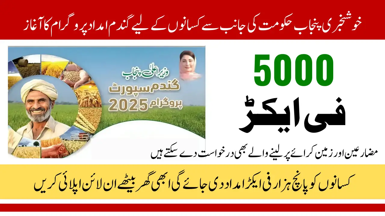 CM Punjab Wheat Support Program 2025 For Farmers 5000PKR Per Acre Assistance