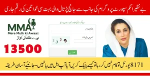 Benazir May 2025 Payment Eligibility Check – Latest Method as 8171 Portal Not Working