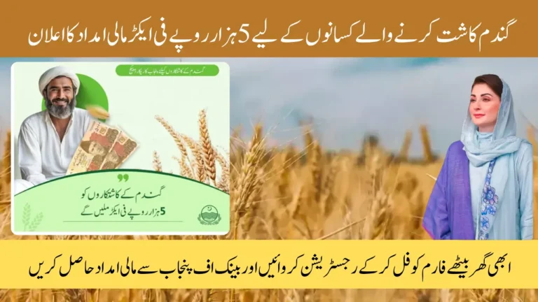 CM Punjab Wheat Support Program Eligibility Criteria And How to Get 5,000 Per Acre Aid