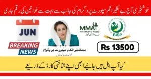 BISP 13500 Payment June 2025 Check Online Via 8171 Portal