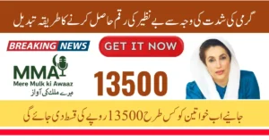 BISP 8171 Payment Method Changed Due to Heatwave - Now What to do?