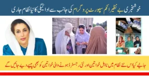 BISP Biometric Retail Disbursement Check Status via 8171 Web Portal