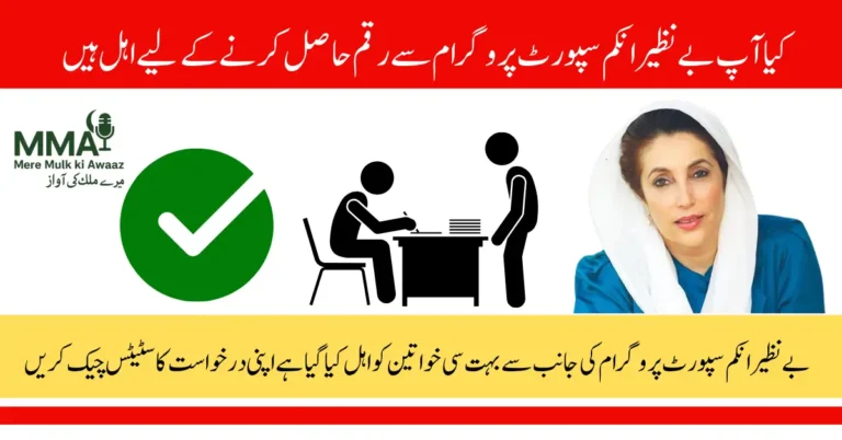 BISP Registration Check By CNIC 8171 Web Portal & SMS