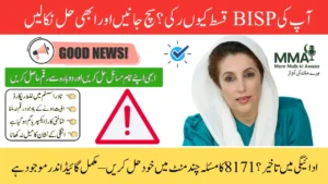 8171 BISP Payment Issues 2025 Complete Fix Guide – Check Delayed Status and Resolve Problems Online