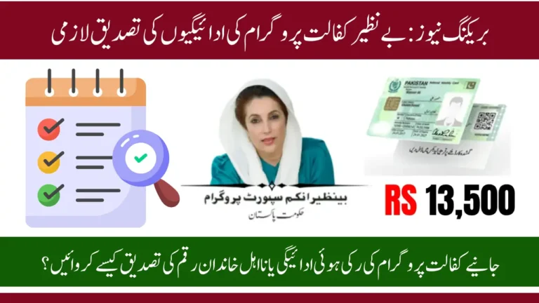 BISP 8171 Payment Verification Process Step‑by‑Step Guide to Secure Your Allowance