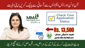 BISP Eligibility Check Online and SMS Full August 2025 Method for All Women