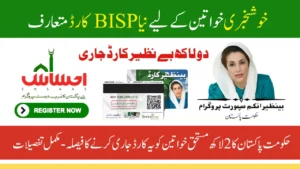 BISP New Card Distribution July 2025 Full Details on 13500 Payment Process for 200000 Beneficiaries