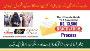 BISP Punjab July 2025 Payment Reactivation Complete Process, Status Check & CNIC Update Guide
