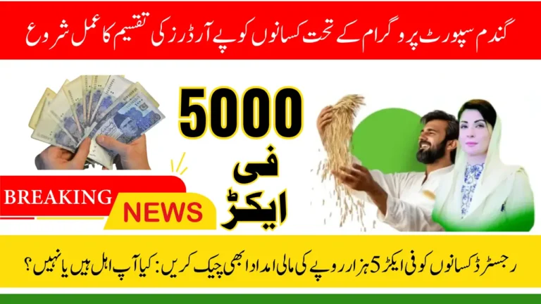 Punjab Wheat Support Program 2025 Pay Order Distribution Begins for Farmers – Check Who Is Eligible