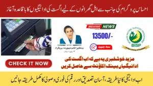 8171 Ehsaas Program Payment August 2025 Full Guide to Eligibility and Collection