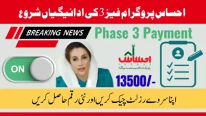 8171 Ehsaas Program Phase 3 Payment Update with Dynamic Survey Result Check Online for New Beneficiaries