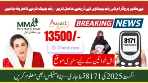8171 New Payment Check Online August 2025 Latest Update – Full Guide
