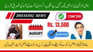 BISP 8171 August 2025 Payment Confirmation Update with New CNIC Balance Tracker