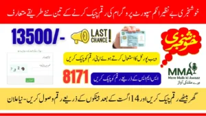 BISP 8171 August Phase Payment Check by CNIC Know Full Details Step By Step