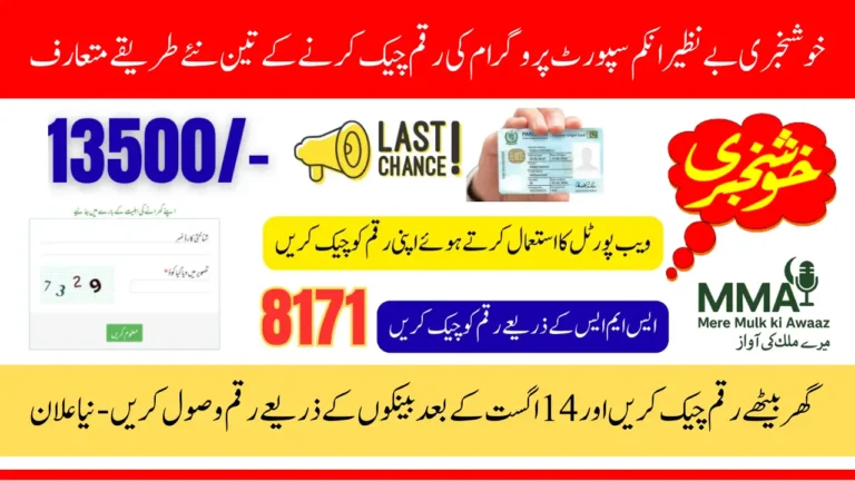 BISP 8171 August Phase Payment Check by CNIC Know Full Details Step By Step