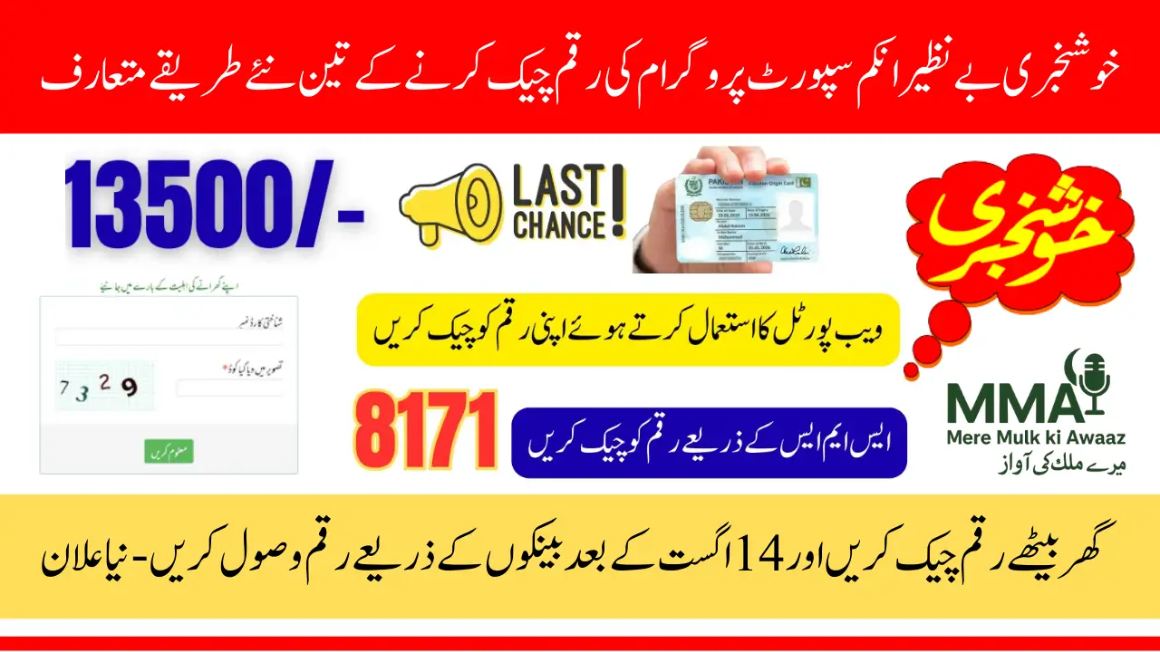 BISP 8171 August Phase Payment Check by CNIC Know Full Details Step By Step
