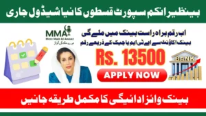 BISP 8171 Program 2025 Installment Schedule Bank-Wise Complete Guide for Eligible Women