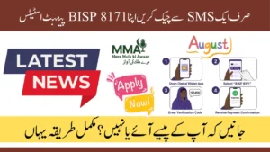 BISP 8171 SMS Payment Status Check - Complete Guide to Verify Your BISP Payment by SMS [August 2025]