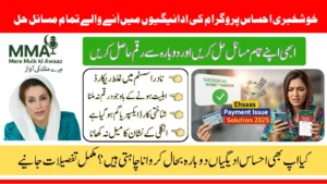 Ehsaas Payment Issue Solution 2025 Latest Method to Receive Your Funds Fast